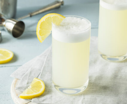 Ricetta Cocktail Gin Fizz