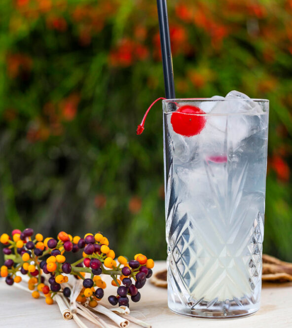 Ricetta Cocktail John Collins